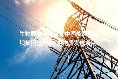 核電項(xiàng)目：國(guó)家核安全局印發(fā)《福建漳州核電廠1號(hào)機(jī)組運(yùn)行許可證頒發(fā)前綜合檢查報(bào)告》
