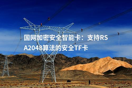 國網加密安全智能卡：支持RSA2048算法的安全TF卡