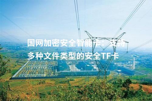 國網加密安全智能卡：提供高效數據加解密服務的高性能安全TF卡