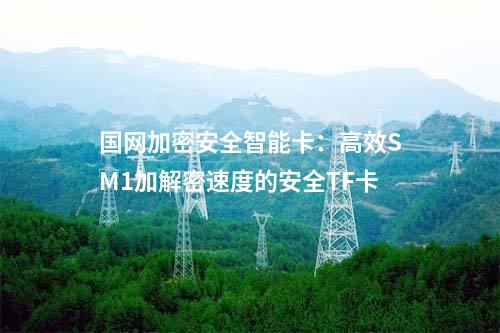 國網(wǎng)加密安全智能卡：為移動終端提供全面加密保護的安全TF卡