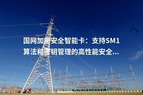 國網加密安全智能卡：支持SM1算法和密鑰管理的高性能安全TF卡