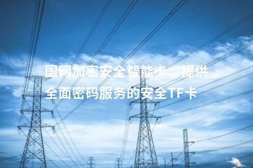 國網加密安全智能卡：國家密碼管理局認證的高性能安全TF卡