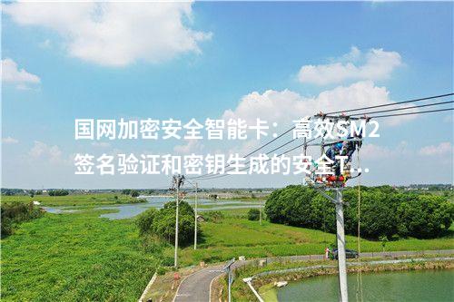 國(guó)網(wǎng)加密安全智能卡：支持SM1、SM2、SM3算法的高安全性TF卡