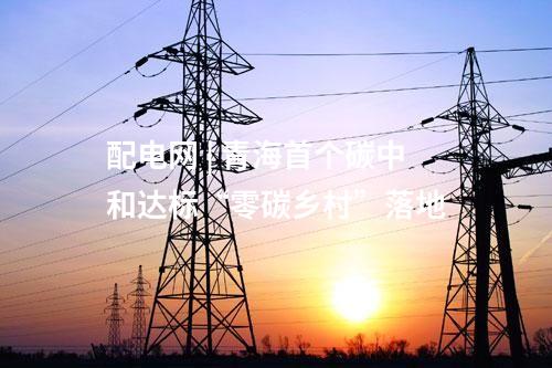 配電網 | 青海首個碳中和達標“零碳鄉村”落地