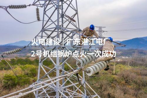 光伏發電 | 貴州冊亨縣八渡農業光伏電站項目（一期）全容量并網發電