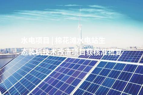 異質結組件 | 5GW高效異質結組件首件下線！