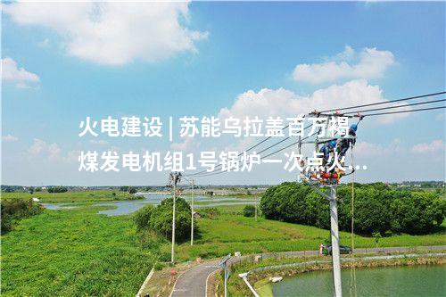 國家電投 | 國家電投遼寧丹東1000MW海上風電項目開標