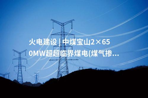 火電項目 | 279.2萬元！2×660MW項目柴油發電機設備中標公示